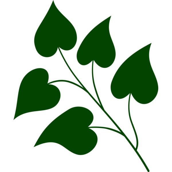 Leaves 3 Thumbnail