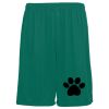 Youth Training Shorts Thumbnail