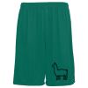 Youth Training Shorts Thumbnail
