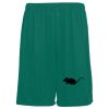 Youth Training Shorts Thumbnail