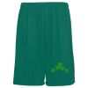 Youth Training Shorts Thumbnail